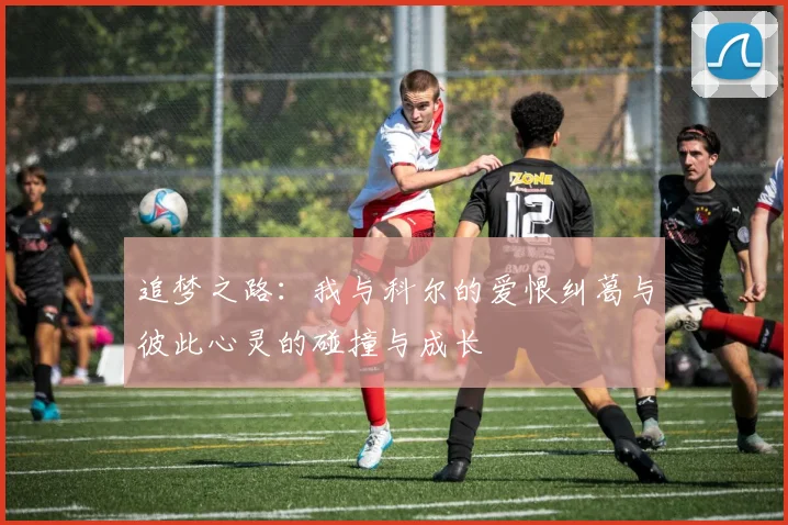 追梦之路：我与科尔的爱恨纠葛与彼此心灵的碰撞与成长