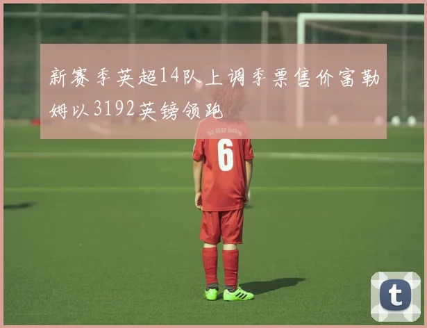 新赛季英超14队上调季票售价富勒姆以3192英镑领跑