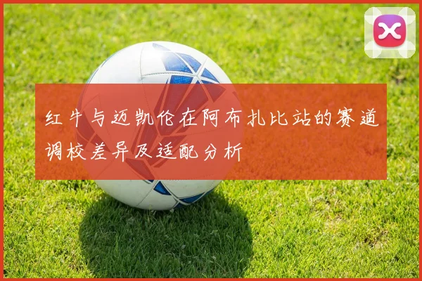 红牛与迈凯伦在阿布扎比站的赛道调校差异及适配分析